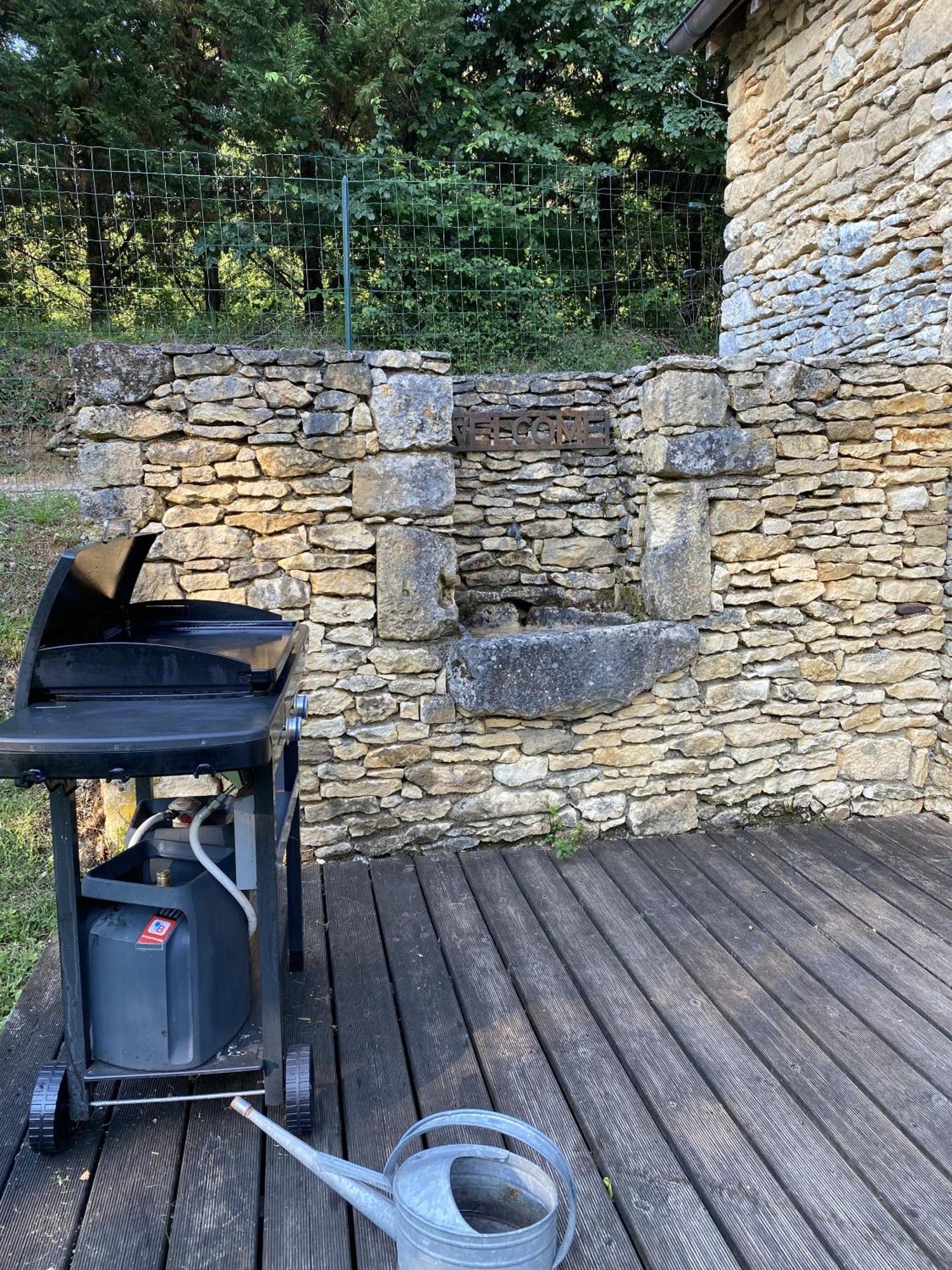 La Truffiere Du Vignou Villa Archignac Dış mekan fotoğraf
